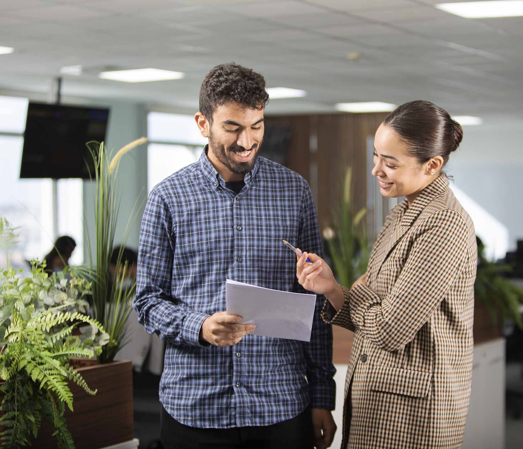 Image hover effect image