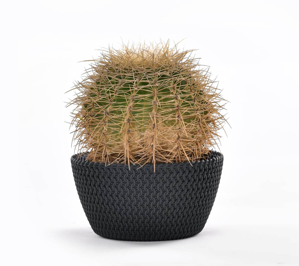 Image hover effect image